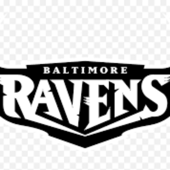 NFL Football Baltimore Ravens Logo Vinyl Decal sticker 5" - Picture 7 of 9